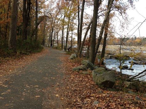 Embracing Nature's Beauty on Belle Isle Trail